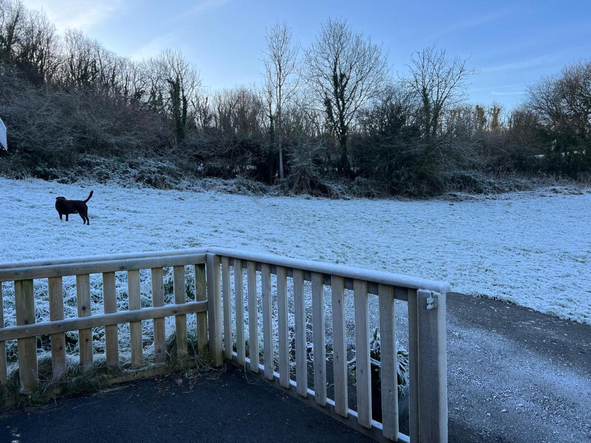 Kabin In The Woods Llandybie المظهر الخارجي الصورة