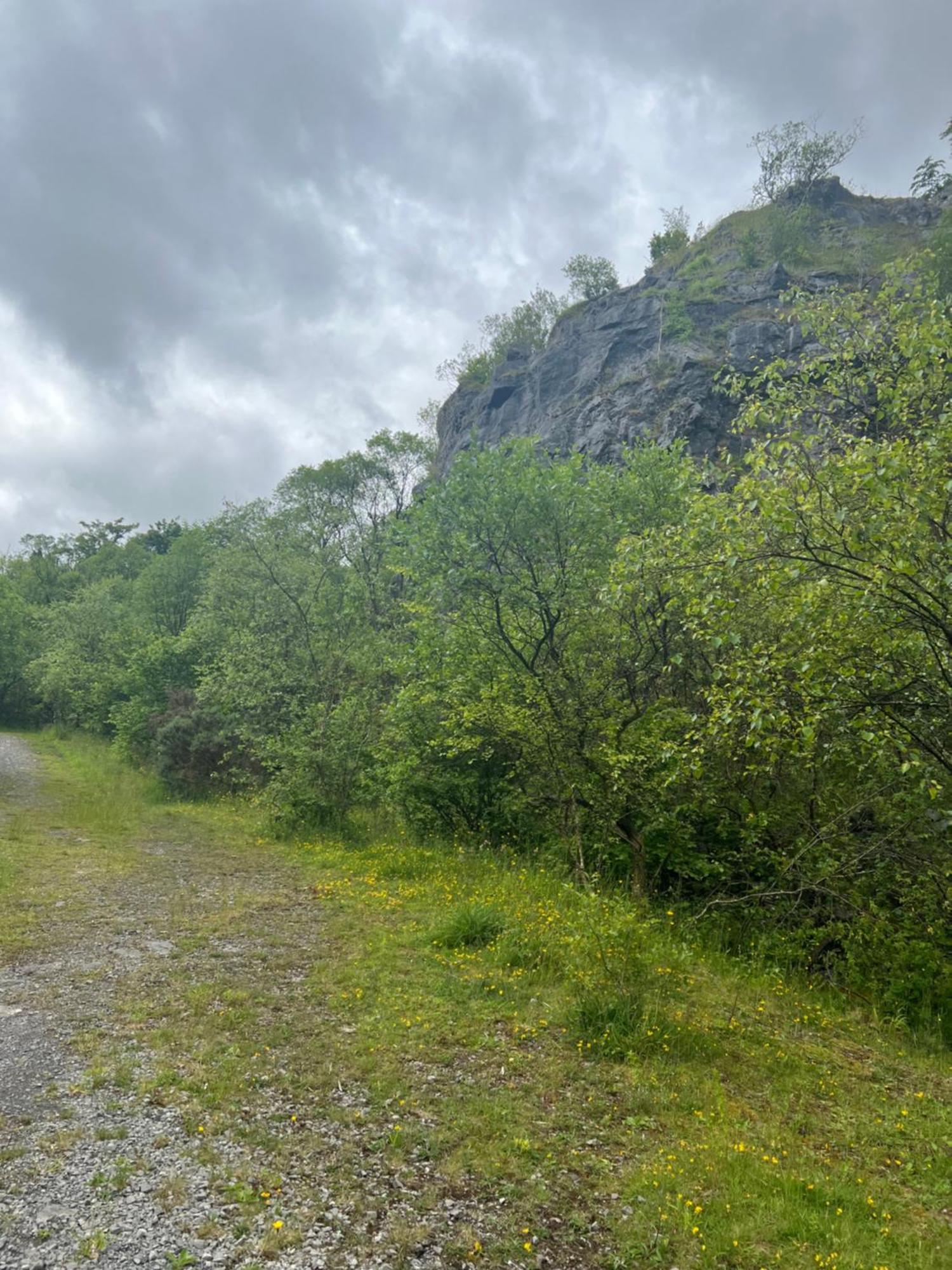 Kabin In The Woods Llandybie المظهر الخارجي الصورة