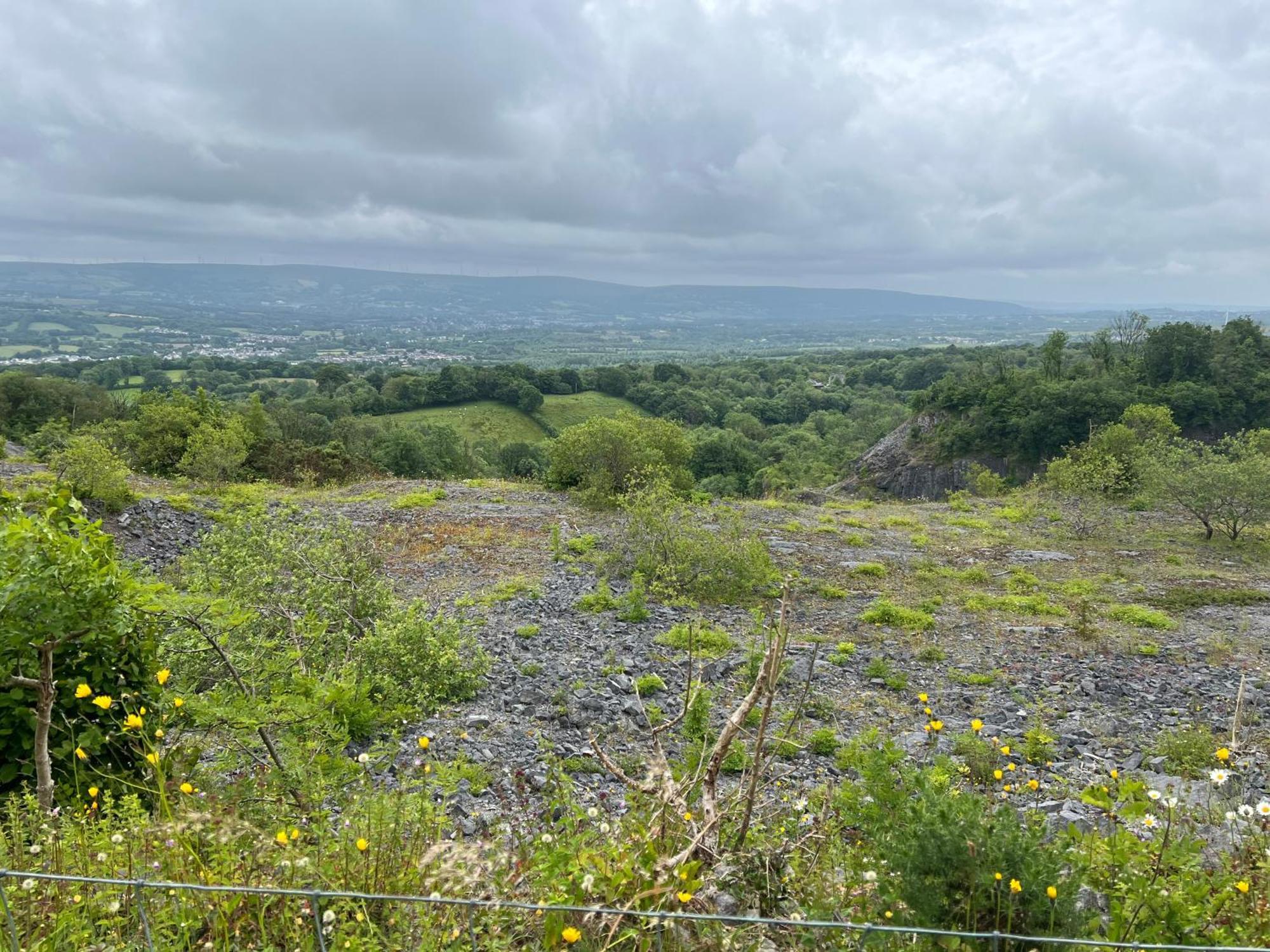 Kabin In The Woods Llandybie المظهر الخارجي الصورة